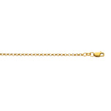 10K Yellow Gold 2.4mm Lite Rolo 10 Chain Anklet with Lobster Lock