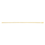 14K Yellow Gold 2.5mm Bismark 16 Chain Necklace with Lobster Clasp