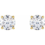 14K Yellow 1 1/4 CTW Lab-Grown Diamond Stud Earrings