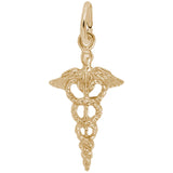 Caduceus Charm