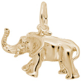 African Elephant Charm