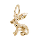 Bunny Accent Charm